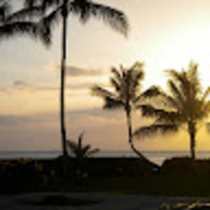 Meet your Posher, Margot